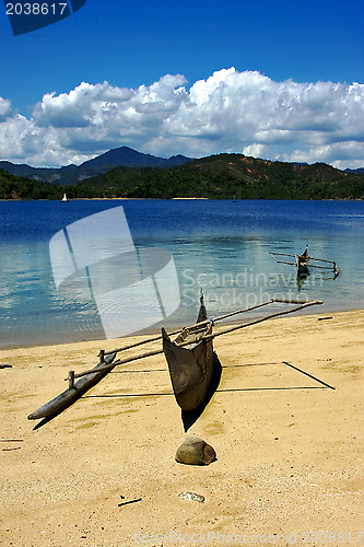 Image of  boat palm  rock stone branch  lagoon and coastline