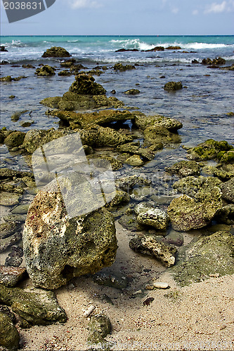 Image of beach rock and stone cabin  in  republica dominicana