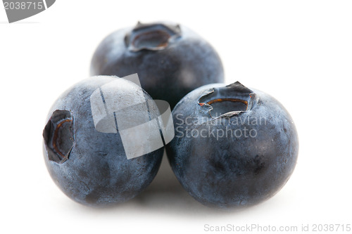 Image of blueberries isolated on white background
