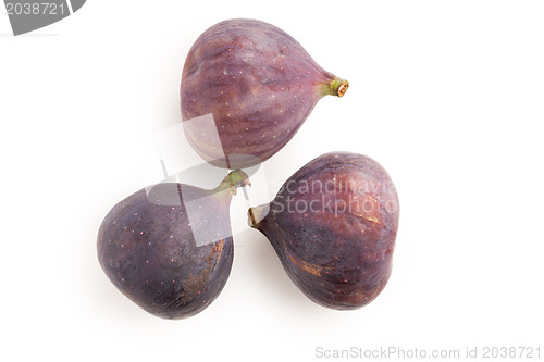 Image of fig fruit on white background