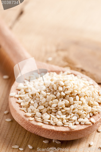 Image of sesame seeds