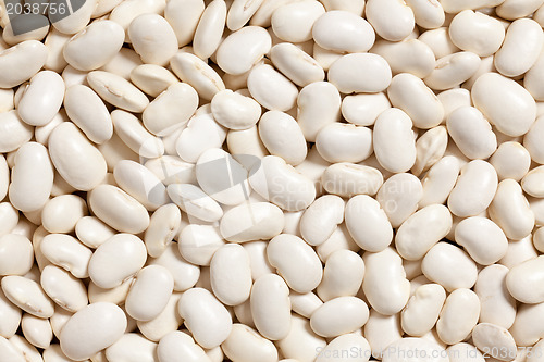 Image of white beans background