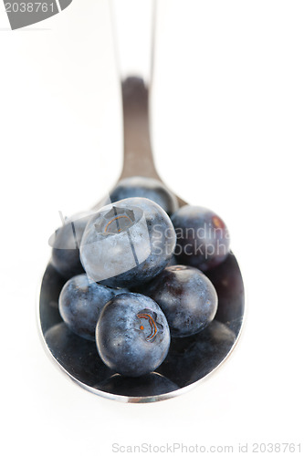 Image of blueberries in spoon