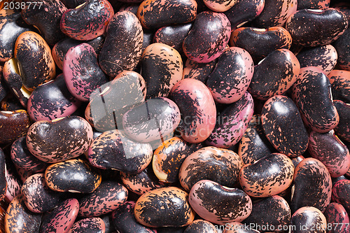 Image of color beans background