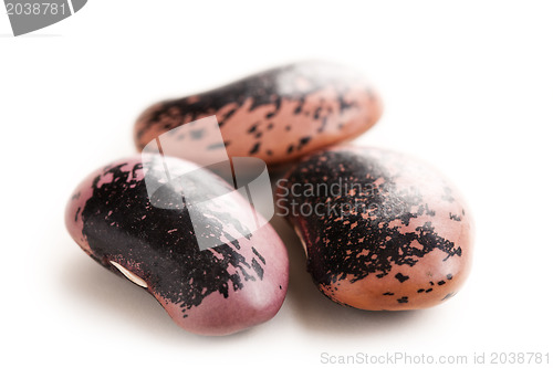 Image of color beans on white background