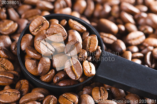 Image of coffee beans in scoop