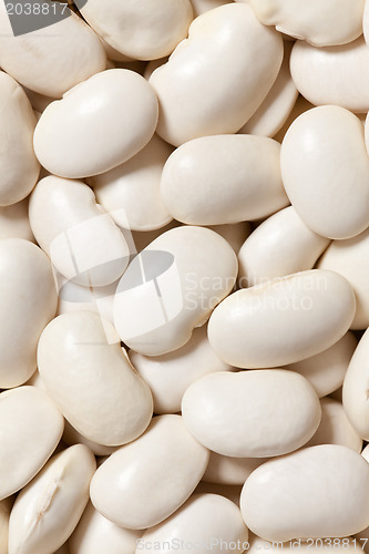 Image of white beans background