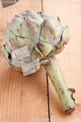 Image of green artichoke