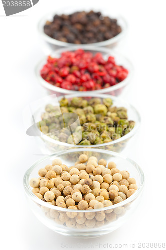 Image of various colourful pepper