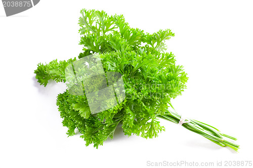 Image of parsley on white background