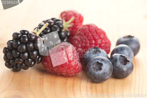 Image of forest fruits