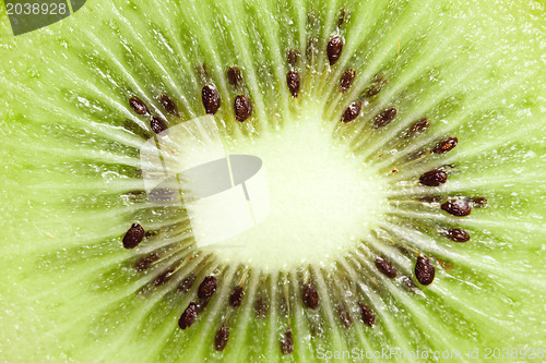 Image of macro shot of kiwi fruit
