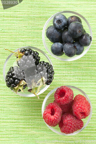 Image of forest fruits