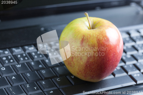 Image of apple on laptop