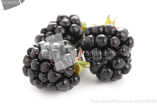 Image of blackberries on white background