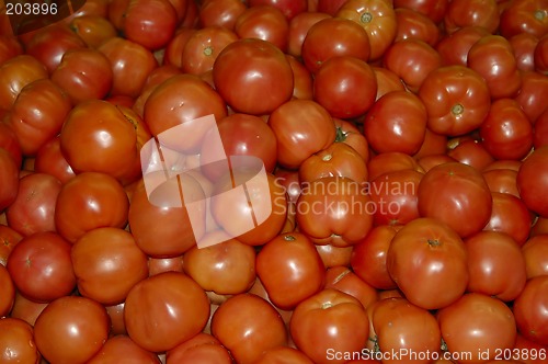 Image of Tomatoes