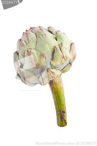 Image of green artichoke