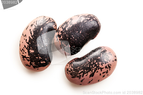 Image of color beans on white background