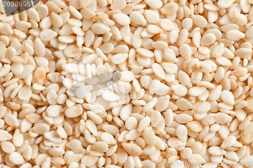 Image of sesame background