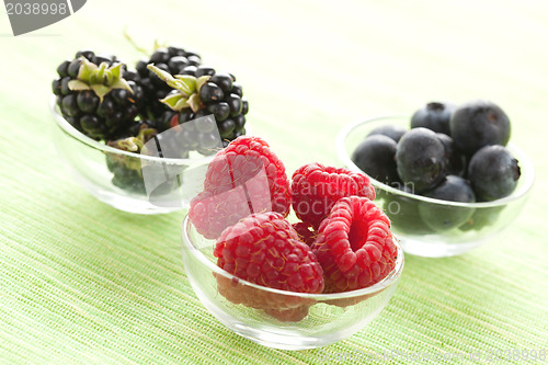 Image of forest fruits