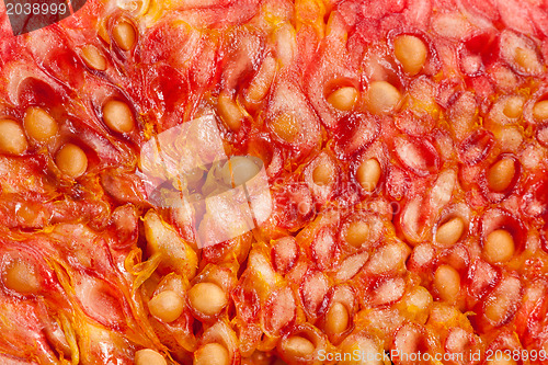 Image of macro shot of fig fruit