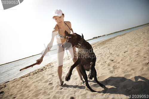 Image of Vacation with dog