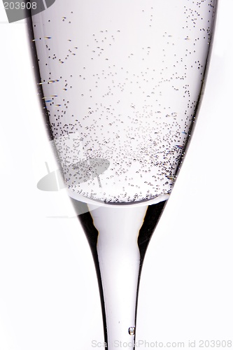 Image of Champagne Close Up