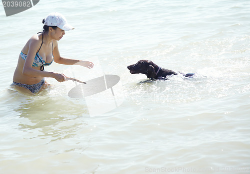 Image of Swim with dog