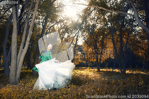 Image of Dance in the golden forest