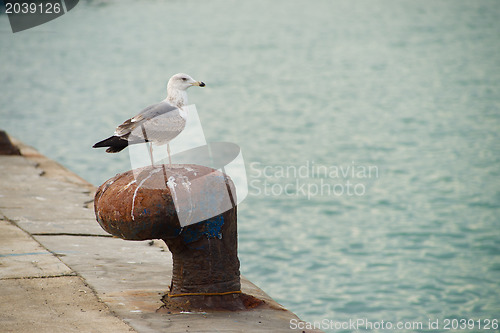 Image of Bollard