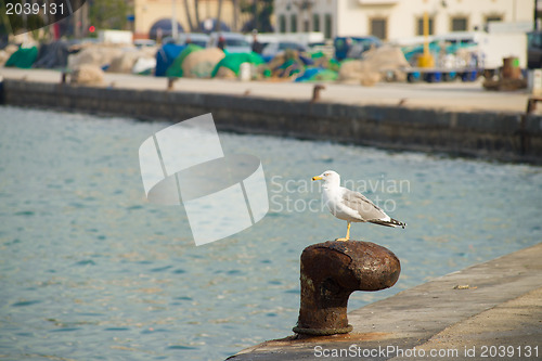 Image of Fishing harbor