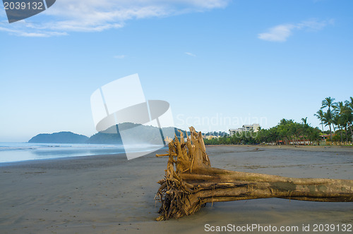 Image of Tropical beach