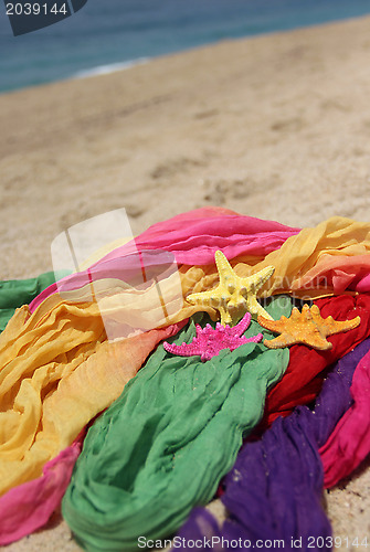 Image of Funny starfishes on the beach 