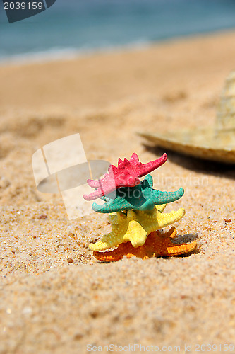 Image of Funny starfishes on the beach 