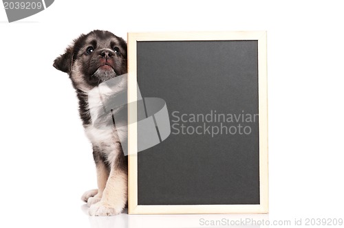 Image of Puppy with blackboard