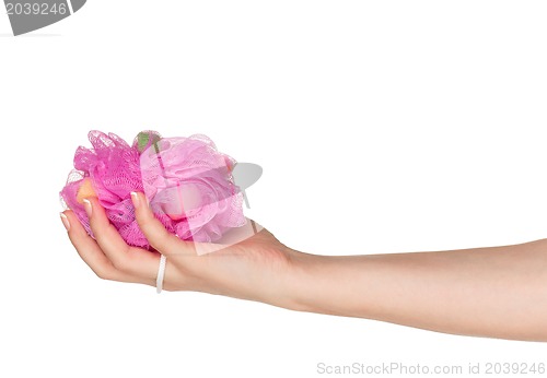 Image of Hand with bath sponge