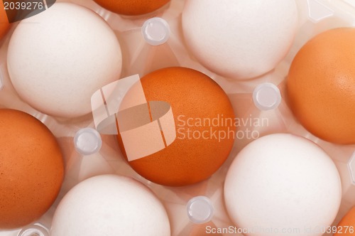 Image of Eggs in box