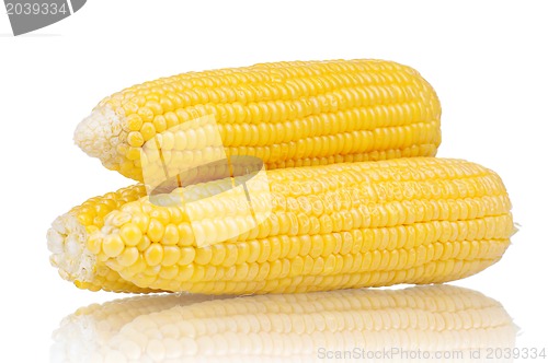 Image of Fresh corn