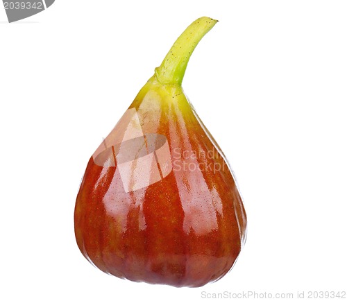 Image of Fresh figs