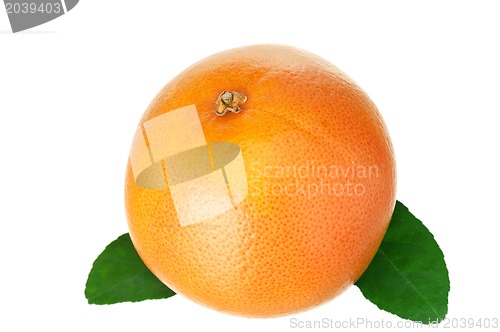 Image of Ripe grapefruit