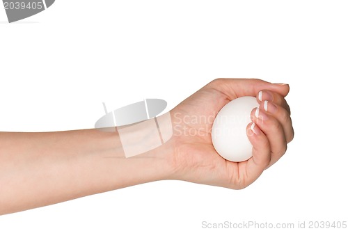 Image of Hand with egg