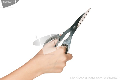 Image of Hand with scissors