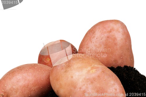 Image of Potatoes