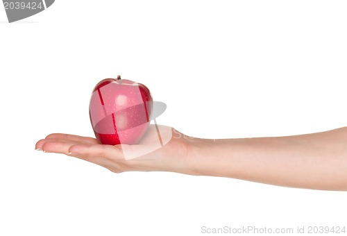 Image of Hand with apple