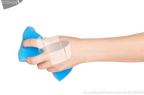 Image of Hand with kitchen sponge