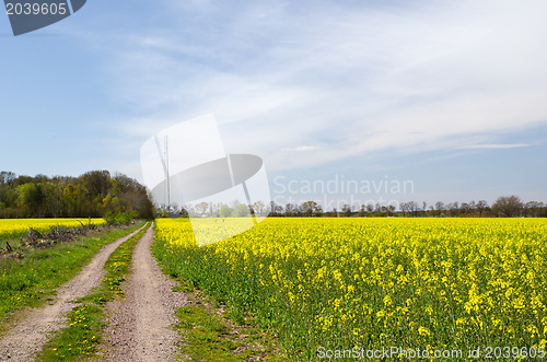 Image of Road to mast