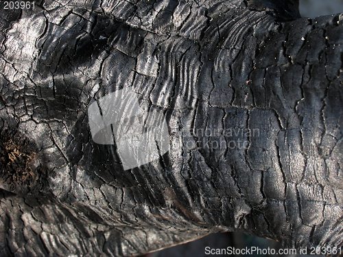 Image of Charcoal texture