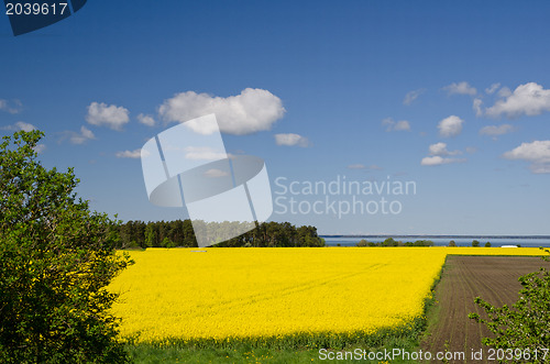 Image of Rural landscape