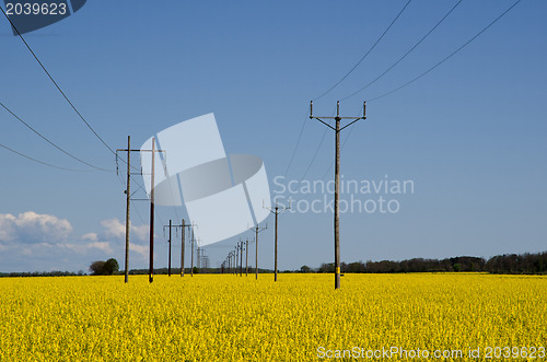 Image of Power lines