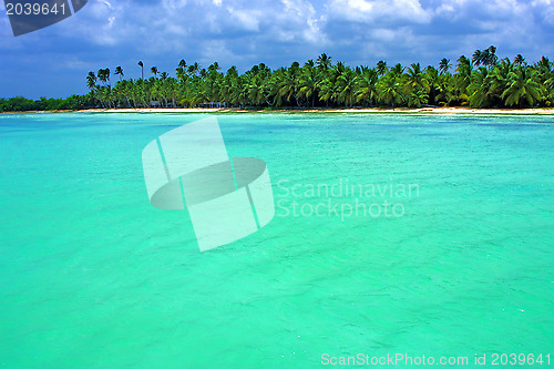 Image of coastline  in  republica dominicana